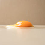 특란 무항생제 계란 달걀 신선한 날계란 1+등급 1등급 가농 금계란 40구, 1개 : 가농바이오