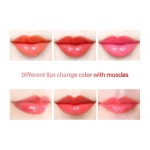 Hengfang-립 메이크업 모이스처 라이저 사쿠라 냄새 마킹 방지 온도 변화 립글로스 수분 영양 립밤 건강 H7687 : KHmarket