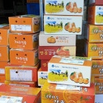 서귀포 달콤한 타이벡 귤 5kg , 5kg(혼합),10kg 보석농원 : 제주보석망고농원