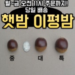 23년 햇밤 충주 이평밤 중사이즈 2kg 최저 : 농부의보물상자