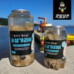 가리비 수압으로 깐 순살가리비 비단 조개구이 경남 고성 : 콧털삼촌
