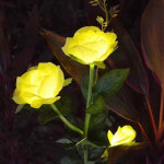 시들지않는 꽃 장미 조명 태양광 LED 조경 감성적인 플라워 등 : 스 타 일 리 뷰