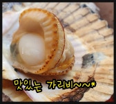 통영 단풍가리비  맛있는 홍가리비 가리비치즈구이 가리비찜 가리비라면 : 통영 해물세상