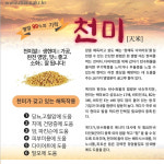 가원쌀 천미쌀 2kg,5kg 누룽지,찹쌀,떡국떡,쌀가루 : 도담-도담