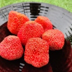[서울 중부시장 순이네건어물] 자연 그대로 동결건조딸기 100g / 말린딸기 / 과일칩 : 순이네 건어물