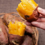 해남 꿀밤 고구마 베니하루카 군고구마 햇고구마 : 뉴빔