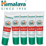 ★정품★유통기한~27년 8월까지★히말라야 립밤 10g, 5개묶음 /인도직수입 천연 입술보호제 : 인도콩콩