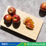 [경북농협/대경사과원예] 명품 문경 감홍 사과 3kg 정품, 가정용(6-10과내) : NH경북농협