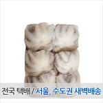 냉동주꾸미 손질 쭈꾸미 6미 (200g) 베트남산 : 언니네식품창고