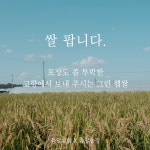 육달농장 23년 미호쌀(10kg) : 육달상회