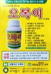 유황규산 오복이 500ml 1L 양파 마늘 영양제 텃밭영양제 : 대문앞비료가게