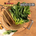 [새벽배송] 국내산 비타민 다채 샐러드 야채 채소 2kg : 농사임당