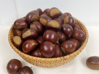 24년 햇 공주 정안밤 2kg 칼집밤 제수용 왕밤 옥광 대보 알밤 : 푸드마인