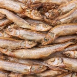 3651 바이츠 동결건조 대용량 고양이 트릿 간식 열빙어, 350g, 1개 : 3651 브랜드스토어