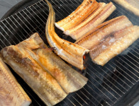 자연산 반건조 붕장어 바다장어 아나고 장어 손질전 2kg이하 90cm이내외 대 : 건작품