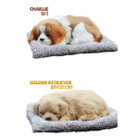 G4 리얼펫 잠자는 강아지 고양이 소품 인형 : JH.Trade Zone