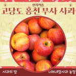 홍천 사과 부사 후브락스 후지 사과 너브내참사과농장 산지직송 홍천사과축제 참여 : 사과의맘