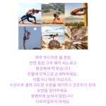 십오야 뉴욕뉴욕 alo 알로 요가 셀럽 비니 Grey : 러키 앤 로키