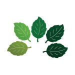 펠트 투톤 나뭇잎(대) 5개 환경구성 교실 꾸미기 Felt model - two-tone large leaves 어린이집 유치원 초등학교 학원 인테리어 교실... 