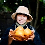 제주 귤 천혜향 한라봉 3kg 5kg 10kg 가정용 선물세트 산지직송 : 제주새별농장