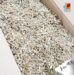 못난이지리멸치 혼지리 볶음용 잔멸치 세멸치 건멸치 마른멸치 업소용 : 꽁 지 마 켓