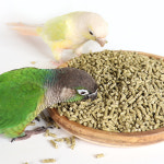 앵무새 펠렛 탑스오가닉 유기농 건강 미니 중소형 453g 새 사료 먹이 모이 밥 용품 간식 코뉴어 퀘이커 모란 왕관 잉꼬 사랑앵무 : 리프패럿