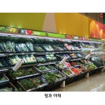 12자 다단 오픈쇼케이스 인버터 정속형 12자 대형마트쇼케이스 식자재마트쇼케이스 낙농 음료 청과 : 서비스 뱅크