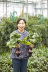 제주 레드비트 5kg 10kg 겨울비트 산지직송 : 현선농장