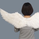 요정날개 천사날개 소 : 태빛상회