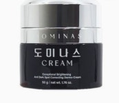 도미나 스 기미크림 멜라논크림 기미잡티 박멸 스팟크림 plaquecream : 퍼스트 몰