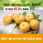 과즙팡팡 고당도 햇과일 신고 추황 원황 배 배즙 가정용 업소용 선물세트 5kg 7.5kg 15kg : 풍수농장