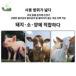 숫자 소 항공 축산 한우 축산용품 번호 귀 귀표 : HILLZO-URBAN