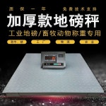 바닥 저울 팔레트 축사 농업용 소 돼지 가축 측정기 : 트렌드 다람쥐 스토어