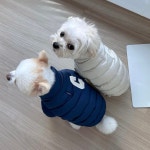 강아지옷 패딩 소프트 웰론 패딩 점퍼 S-2XL : 아뭉아뭉