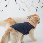 체크 마이하트 패딩(아이보리) 중형견 대형견 강아지겨울패딩  : 헬로우예삐