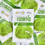 무안 황파 프리미엄 양배추즙 100ml x 100팩 [원산지 전라남도 국산] : 효원농장