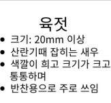 신안 산지직송 임자농협 육젓1kg 임자도 전장포 명품 새우젓 : 올더야미