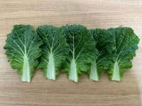 백광농장 국내산 쌈추(특) 2kg : 백광농장