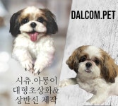 양모펠트 상반신초상화 강아지 고양이 달콤펫초상화 : Dalcom.pet