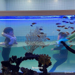 [울산 피코키즈풀빌라] 단독 특가 핫딜 : 애기야가자 스토어