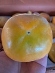 (과일천국1번지) 아삭아삭 달콤한 부유 단감 3kg - 1박스 : 과일판매
