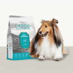 26년8월/샘플2개+ 라포그 소프트키블 리얼인섹트 눈물 눈건강 아이케어, 1kg, 1개 : 마리펫몰