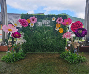 졸업식 및 행사 그린월 에바폼 자이언트플라워 포토존 대여 : 디포유