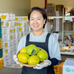 청도 생모과 3kg  햇모과 : 봉이네농수산