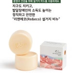 리엔에코 친환경 야채과일 세척워싱바 설거지바 150g 1개 : the storage