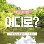 [11월&여성트레킹] 수목원 도장깨기 - 경상남도 수목원 : 초록배낭