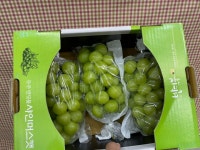 고당도포도,망고포도,샤인머스켓 2kg 3~4수 : 불편한집