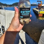 고성 통영 수압으로 깐 순살 홍 가리비 400g : 남부파머스