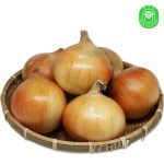 (항채원)25년 하루한끼 햇양파 저장양파 중,소  2kg,3kg : 기흥영농조합법인