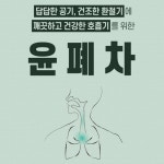 곰보배추차 생강 도라지 맥문동 차 윤폐탕 커피대신차 : 비앤엠스토어
